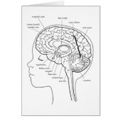 What's in Your Brain Cards (Front)