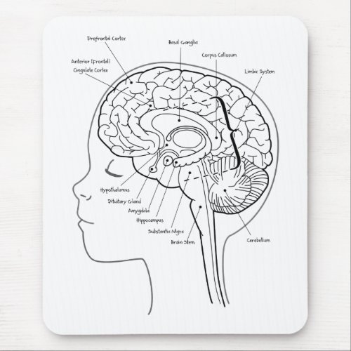 Whats in Your Brain Mouse Pad