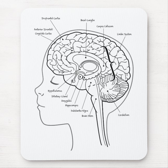 What's in Your Brain Mouse Pad (Front)