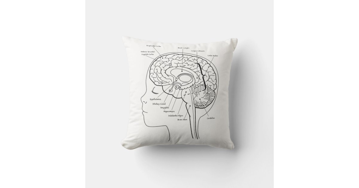 What's in Your Brain Pillow Zazzle