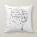 What's in Your Brain Pillow