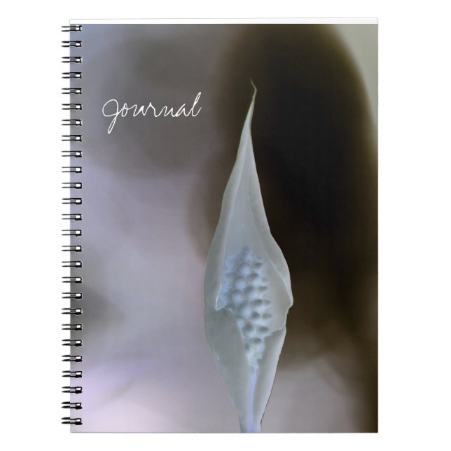What's Inside Spiral Photo Notebook (Front)
