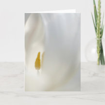"What's Inside" Sweet Floral Design Blank