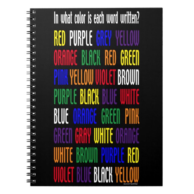 What's My Color Notebook (Front)