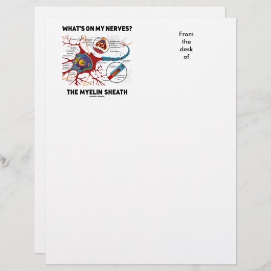 What's On My Nerves? The Myelin Sheath (Front/Back)