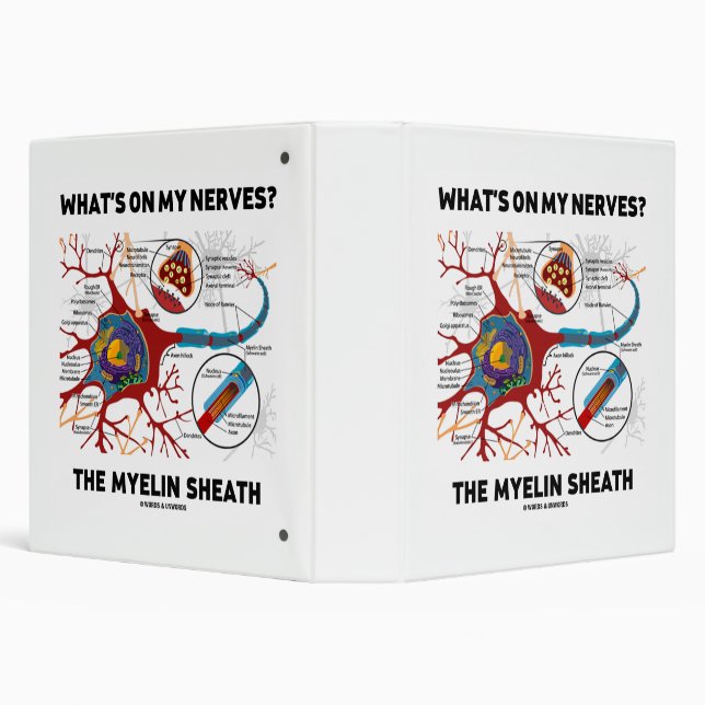 What's On My Nerves? The Myelin Sheath 3 Ring Binder (Background)