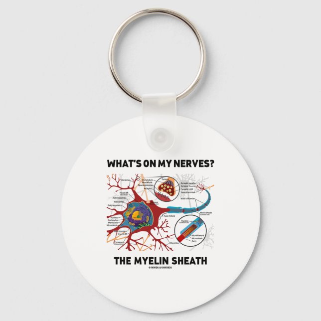 What's On My Nerves? The Myelin Sheath Keychain (Front)
