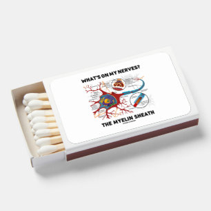 What's On My Nerves? The Myelin Sheath Neuron Matchboxes