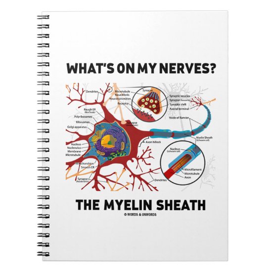 What's On My Nerves? The Myelin Sheath Notebook