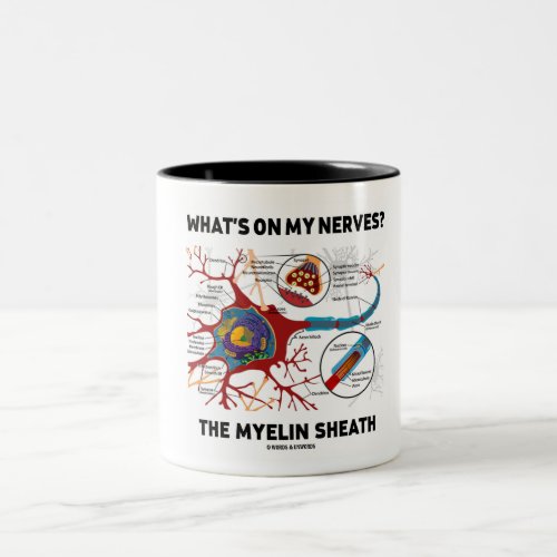 What's On My Nerves? The Myelin Sheath Two-Tone Coffee Mug
