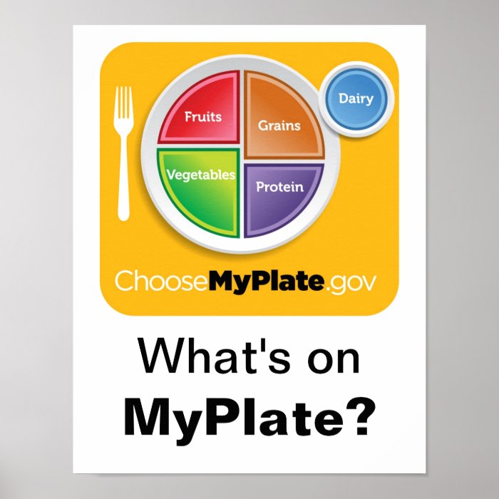 What's on MyPlate? Poster   Orange on White