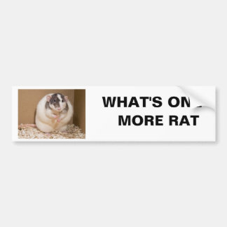 what's one more rat bumper sticker