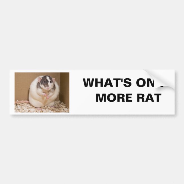 what's one more rat bumper sticker (Front)