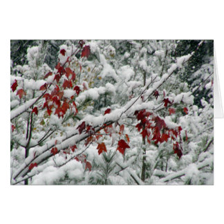 What's red and white and snow all over?