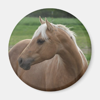 Whats Sizzlin Jac Magnet