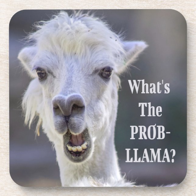 What's The Prob- Llama ? Cute Funny LLAMA Beverage Coaster (Front)