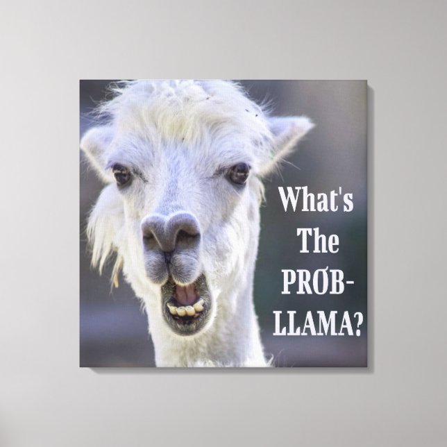 What's The Prob- Llama ? Cute Funny LLAMA Canvas Print (Front)