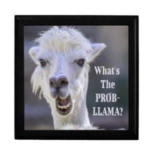 What's The Prob- Llama ? Cute Funny LLAMA Gift Box