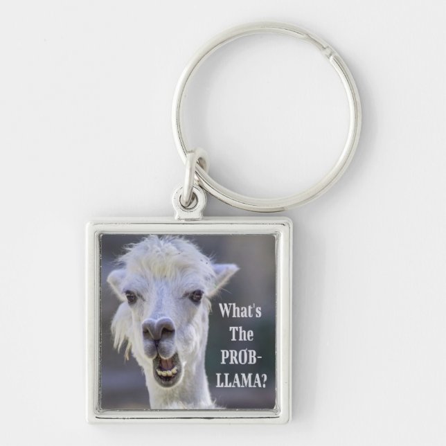 What's The Prob- Llama ? Cute Funny LLAMA Keychain (Front)