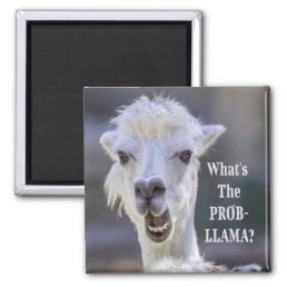 What&#39;s The Prob- Llama ? Cute Funny LLAMA Magnet