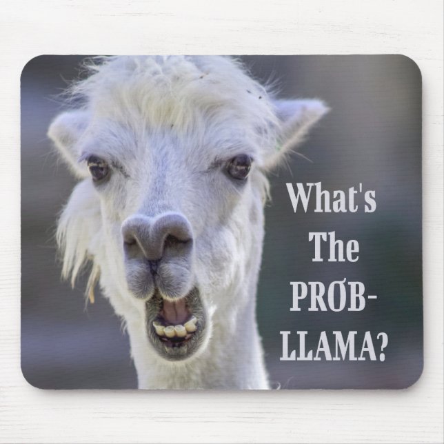 What's The Prob- Llama ? Cute Funny LLAMA Mouse Pad (Front)