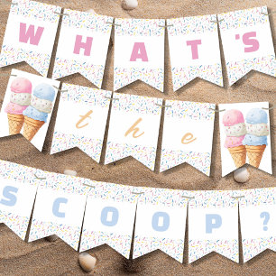 Whats The Scoop Ice Cream Gender Reveal Party Bunting Flags