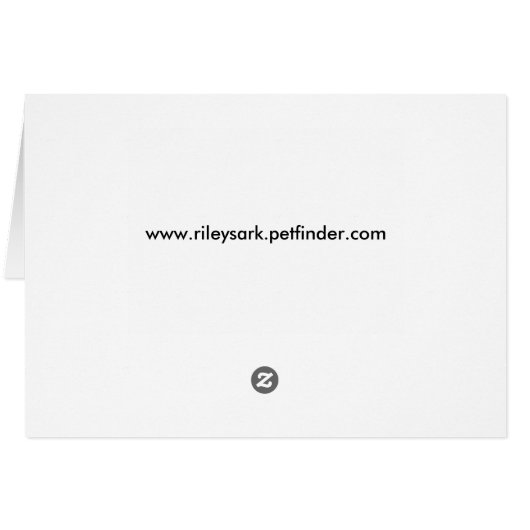 What's up? (Back Horizontal)