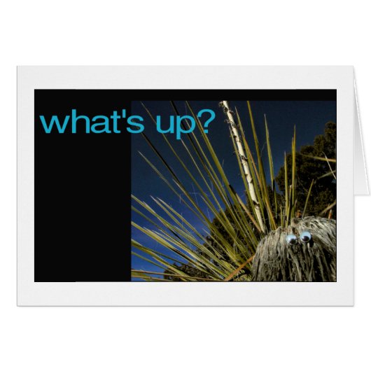 what's up? (Front Horizontal)