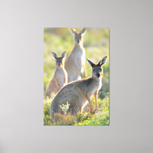 WHAT'S UP! 40x60 Canvas Print