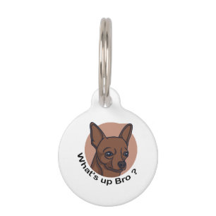 What's Up Bro Chihuahua, Funny Quote Dog Pet ID Tag