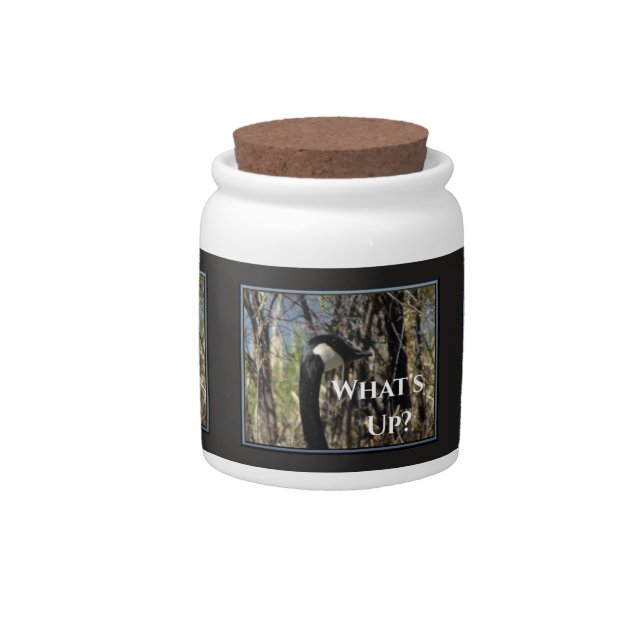 What's Up Candy Jar (Front)