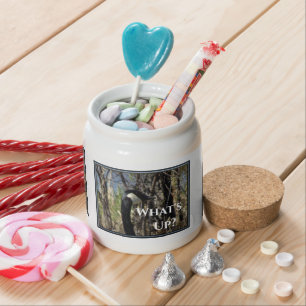 What's Up Candy Jar