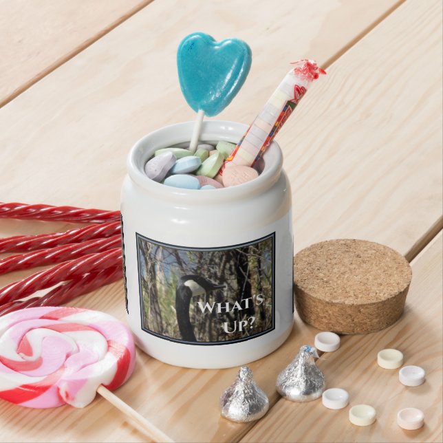 What's Up Candy Jar (In Situ)