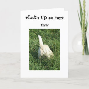 What's Up Card