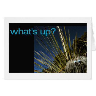 what's up? cards