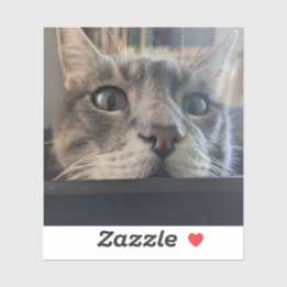 What's up, Cat? 3" Vinyl Sticker