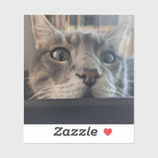 What's up, Cat? 3" Vinyl Sticker