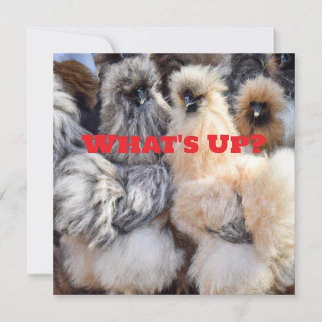 What's Up, Chicken Butt Card (Front)