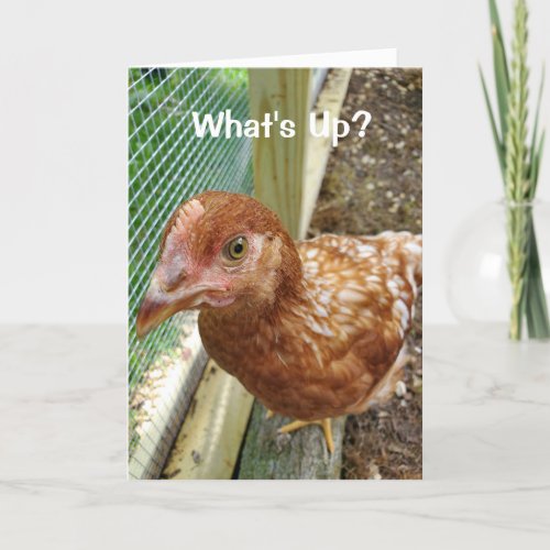 Whats Up Chicken Butt Funny chicken humor Card