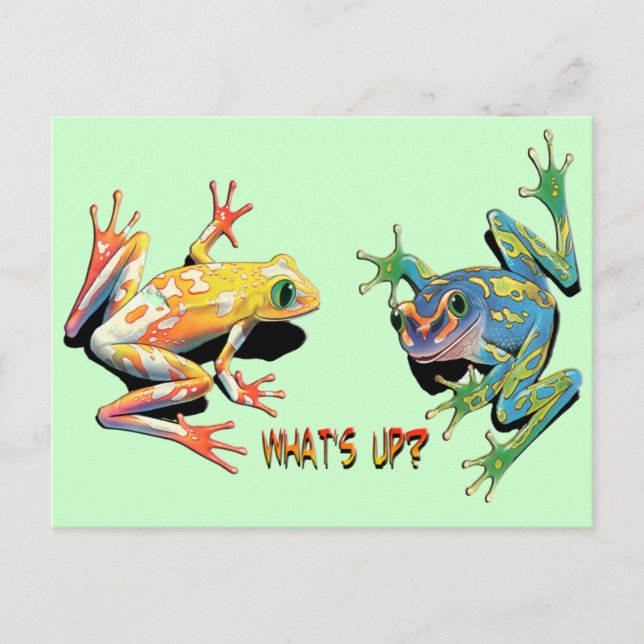 What's Up Frogs Postcard (Front)