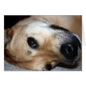 What's Up? Funny Card (Front Horizontal)