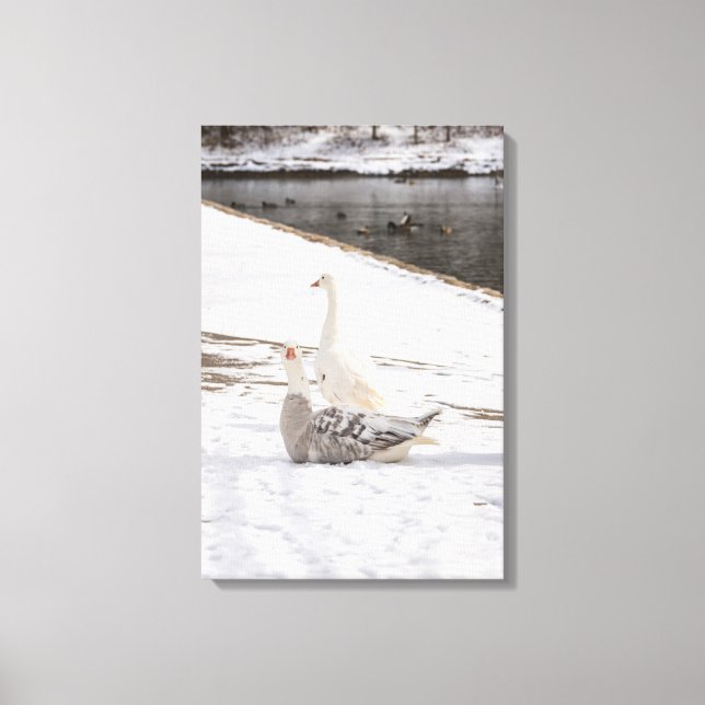 Whats Up Goose Canvas Print (Front)