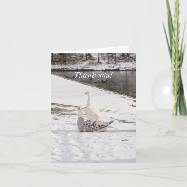 Whats Up Goose Letterpress Thank You Card (Front)