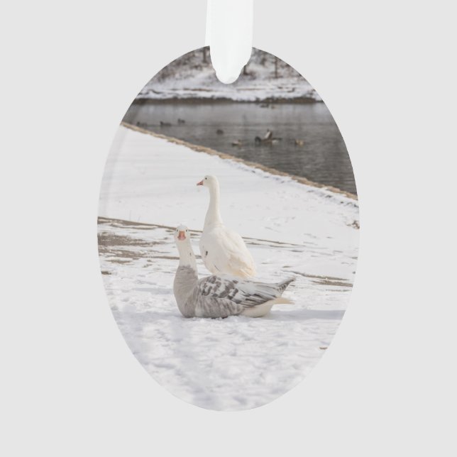 Whats Up Goose Ornament (Back)