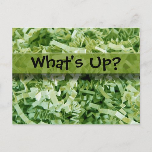 Whats Up Green Crinkled Shredded Paper Photo Postcard