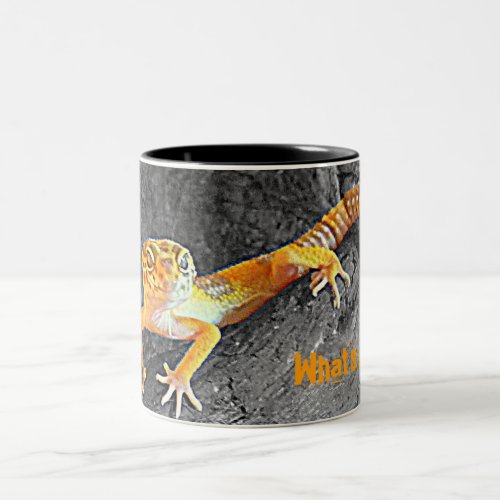 Whats up  Leopard_gecko gecko cup