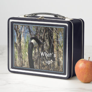 What's Up Metal Lunch Box
