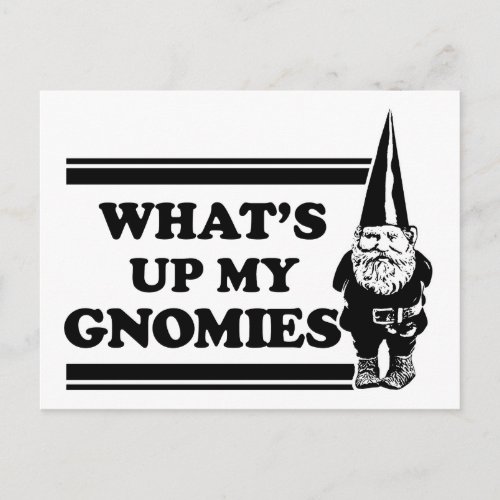 Whats Up My Gnomies Postcard