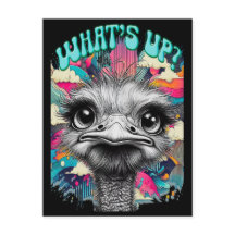 Whats Up? Ostrich - Funny Postcard 