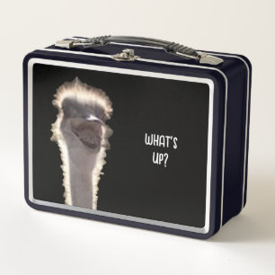 What's Up? Ostrich head, face, lunch boxes